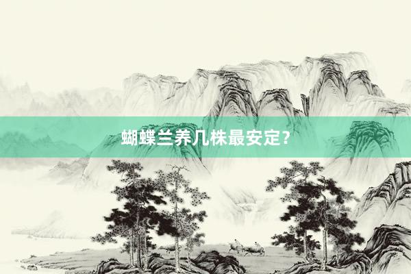 蝴蝶兰养几株最安定？